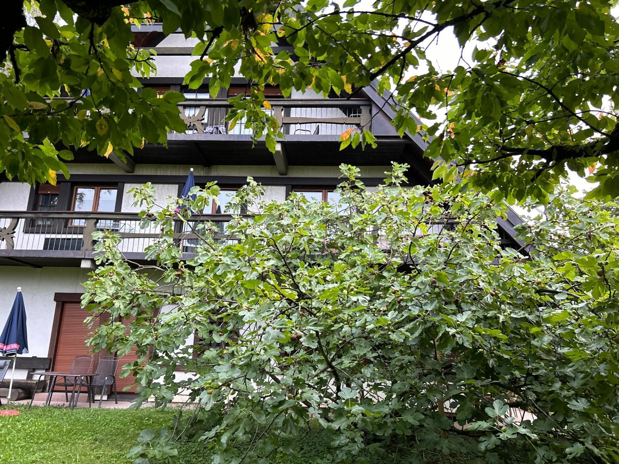 Gaestehaus Obsthof Gottenheim ภายนอก รูปภาพ